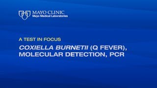 🥵🤯🤭 Rickettsia last part amp Coxiella Q fever😷🤒☠️👽 [upl. by Nicolette964]