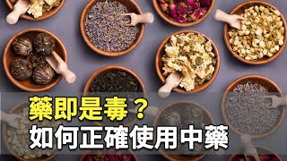 藥即是毒？如何正確使用中藥｜胡乃文 醫師｜325｜談古論今話中醫 [upl. by Aicil]