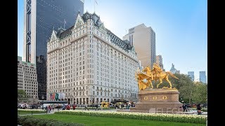 Hotel The Plaza New York City USA [upl. by Radbun226]