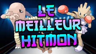 TYGNON VS KICKLEE VS KAPOERA  Pokémon Épée et Bouclier ⚔️🛡️ [upl. by Fadil]