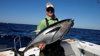 Fishing Monster Yellowfin Tuna Offshore Venice Louisiana [upl. by Geminian519]