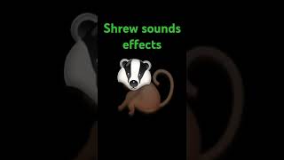 Shrew sounds effects [upl. by Aelahs]