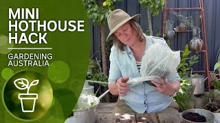 Cheap and easy hothouse  DIY garden projects  Gardening Australia [upl. by Eppie339]