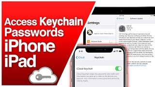 How To Access iCloud Keychain Password iPhone amp iPad iOS [upl. by Frankel37]