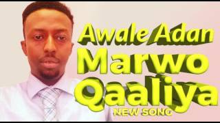 CAWAALE ADAN NEW SONGS XASKIISA MAHDIYA [upl. by Ambler]