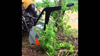 FAE forestry Mulcher PTO mounted DT 225 [upl. by Chlori842]