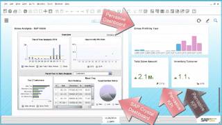 Analytics for SAP Business One in 150 seconds [upl. by Savihc2]