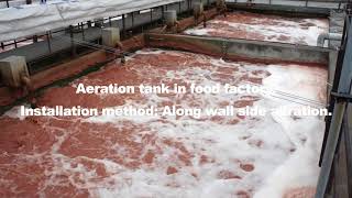 Aeration tank in food factory Installation method Along wall side aeration [upl. by Iddet107]