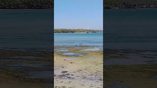 Pangasinan seashore lowtide beachlifeisthebestlife [upl. by Maurene198]