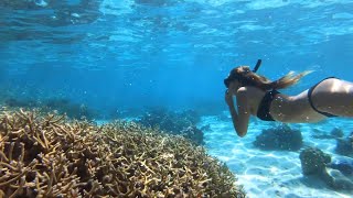 GO PRO  Amazing SNORKELING in Tahiti  French Polynesia [upl. by Pufahl]