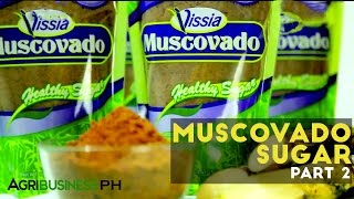 How to extract sugar cane  Muscovado sugar Part 2 Agriculture [upl. by Lunsford]