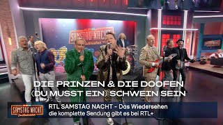 Die Prinzen amp Die Doofen  Du musst ein Schwein sein  RTL Samstag Nacht  Das Wiedersehen [upl. by Haissem]