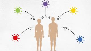 Les perturbateurs endocriniens cest quoi [upl. by Neved]