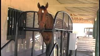 FullStride Horse Treadmill video [upl. by Brice320]