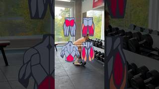 deadlifts with dumbbells dumbbell glutes [upl. by Ahders]