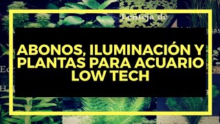 Plantas Acuáticas de Fácil Cuidado SIN SUSTRATO NUTRITIVO  MI EXPERIENCIA  Kleiner Fish Aquarium [upl. by Cychosz]