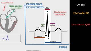 Cardiologie  Décryptage de lECG  tout sur londe PQRST [upl. by Brody]