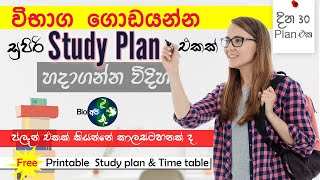 Study Plan එකක් හදන්නේ මෙහෙමයි  How to make Time Table and Study Plan  30 days Tips from Bio Api [upl. by Prevot]