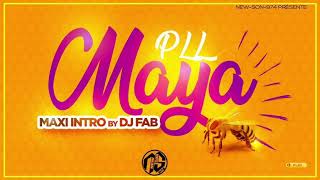 PLL  Maya MAXI INTRO BY DJ FAB 2024 [upl. by Ettenaj]