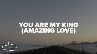 You Are My King Amazing Love  Maranatha Music Lyric Video [upl. by Engenia593]