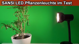 Sansi LED Pflanzenlampe im Test amp Erfahrungen – Pflanzenleuchte für Zimmerpflanzen im Winter [upl. by Keily]