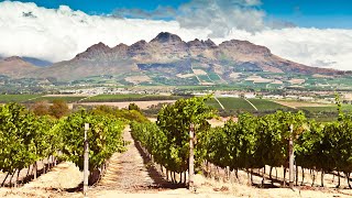 Private Wine Tasting Tour from Cape Town South Africa [upl. by Senskell]