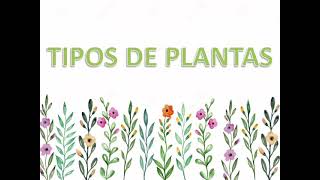 Tipos de plantas terrestres aquáticas e aéreas [upl. by Aicilev]