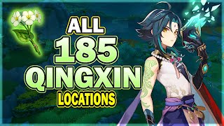 All 185 Qingxin Locations  Efficient Farming Route  Ganyu  Xiao  Shenhe Ascension Material [upl. by Adnilem]