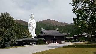 Exploring Tsz Shan Monastery [upl. by Keene]