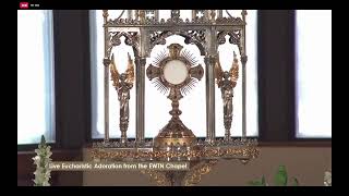 LIVE Eucharistic Adoration on EWTN [upl. by Naeroled]