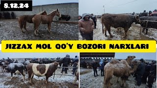 JIZZAX MOL QO’Y BOZORI NARXLARI ЖИЗЗАХ МОЛ БОЗОРИ НАРХЛАРИ жиззах rek ozod [upl. by Aleafar695]