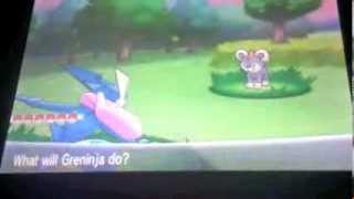 Pokémon X and Y Where to catch Litleo [upl. by Audrie]