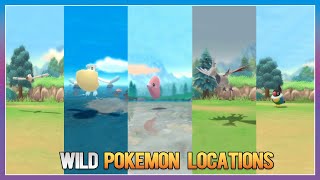 Pokémon BDSP  WingullPelipperLuvdiscSkarmory amp Chatot Locations [upl. by Eidas]