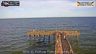 LIVE From 61st St Fishing Pier Cam May 7 2021 [upl. by Marita368]