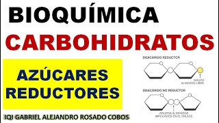 Carbohidratos glúcidos Azúcares reductores [upl. by Kcirednek]