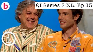 QI XL Series S Episode 13 FULL EPISODE  With Ed Gamble Lou Sanders amp Sindhu Vee [upl. by Moguel]