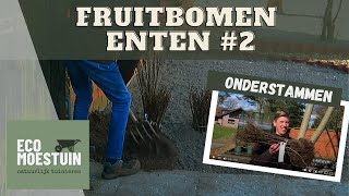 Fruitboom onderstammen [upl. by Drawets540]