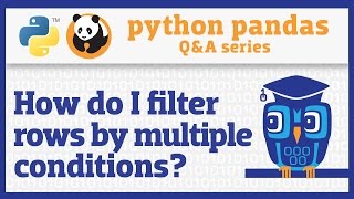 How do I apply multiple filter criteria to a pandas DataFrame [upl. by Sloan686]