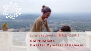 Immunserie Diaphragma curaAkademie [upl. by Melas948]