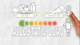 The Allostatic Load [upl. by Allisan]