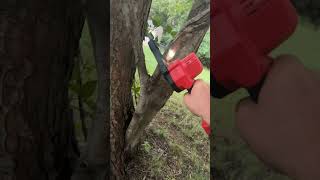 30 Temu 18v Chainsaw VS TREE tools temu [upl. by Darline]