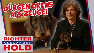 Jürgen Drews als Zeuge 🤩 Und er kommt nicht allein 🐶  Richter Alexander Hold [upl. by Nnyleve]