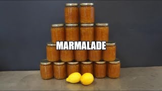 How to Make Lemon Marmalade [upl. by Enelaj]