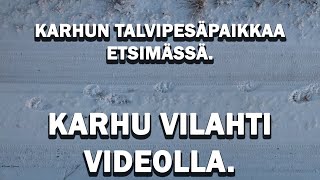 KARHU VILAHTI VIDEOLLA Karhun talvipesäpaikkaa etsimässä II [upl. by Anaeed]