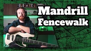 Mandrill  Fencewalk  Bass Cover [upl. by Kev906]