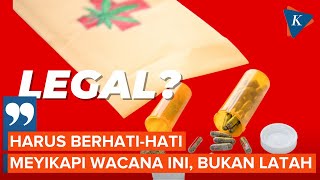 Anggota Komisi IX DPR Bahas soal Legalisasi Ganja Medis [upl. by Maer631]