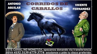 Corridos de Caballos  Vicente Fernández vs Antonio Aguilar [upl. by Hansen]