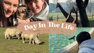 Family Fun In The Cotswolds  Cozy HomeCooked Dinner amp Relaxing Day🦒🦏 [upl. by Robma]