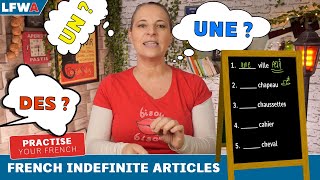 Practise your French indefinite articles Part 1 [upl. by Yelsnia]