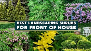 7 Excellent Landscaping Shrubs for Front of House 🌿🍃🌱 [upl. by Renick571]